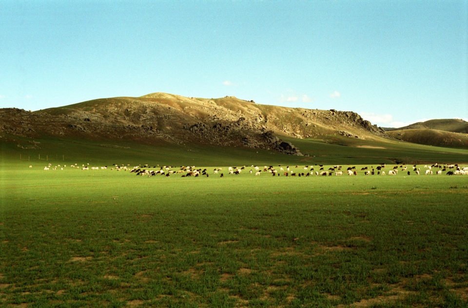 Mongolie<br><span style="font-size:12px;">2005 / 2006</span>